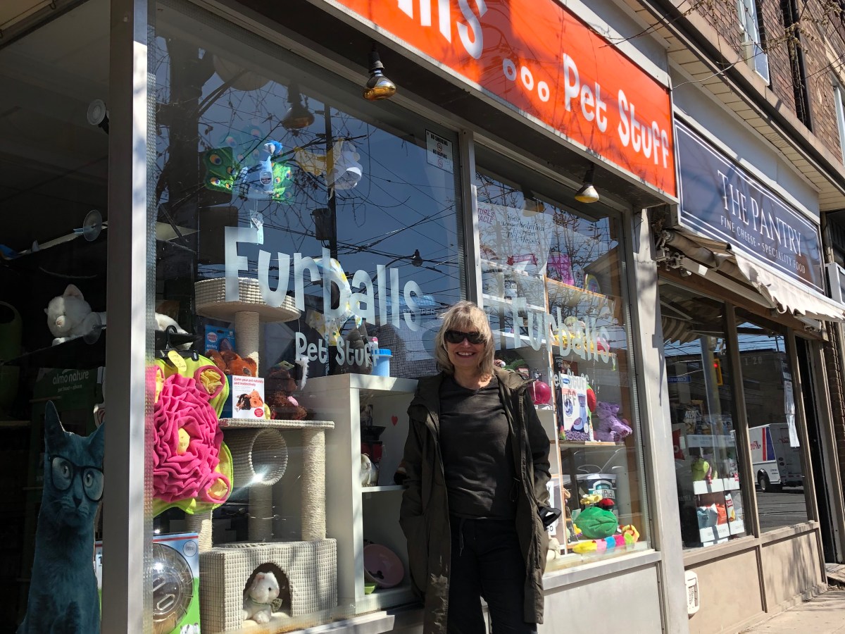 Furballs Pet Stuff: Four-legged Friends Also Need&nbsp;Adventures